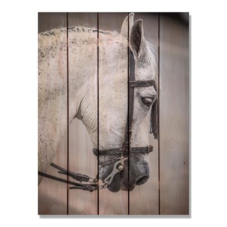 RICKI&APOSS RUGS 28 x 36 in. Noble Steed Inside & Outside Cedar Wall Art RI890045